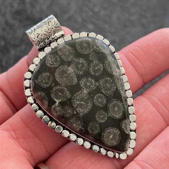 Agatized Coral Fossil Gemstone Stone Jewelry Crystal Pendant - Picture 3 of 6